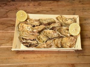 Bourriche d'huitres
