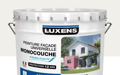 Les avantages et inconvénients de la peinture Luxens