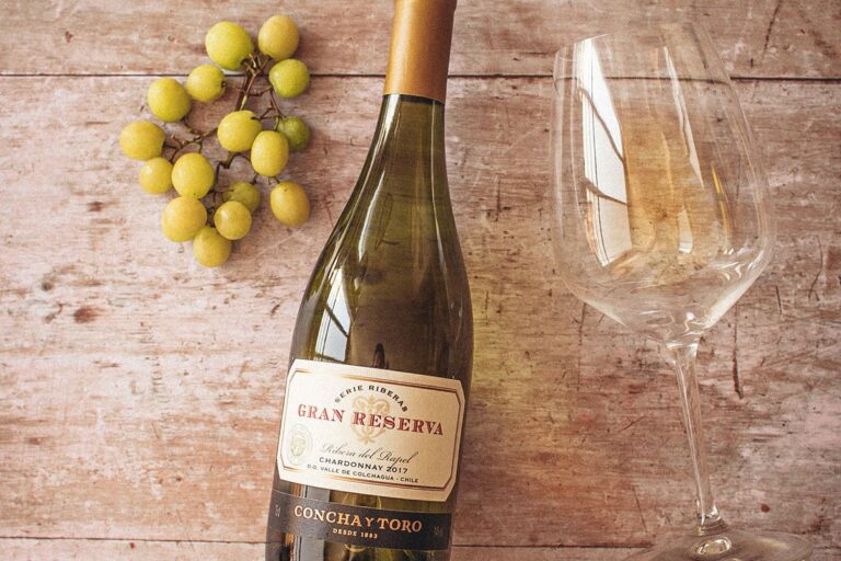 Les 5 meilleurs vins pour accompagner des fruits de mer