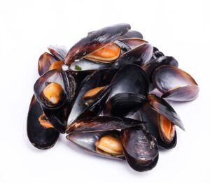congeler des moules