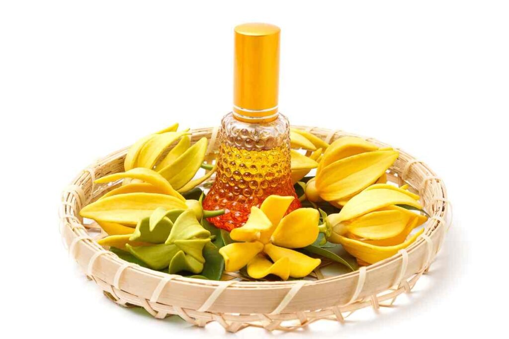 dangers de l'huile essentielle ylang-ylang 