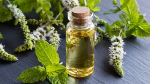 dangers de la menthe poivrée