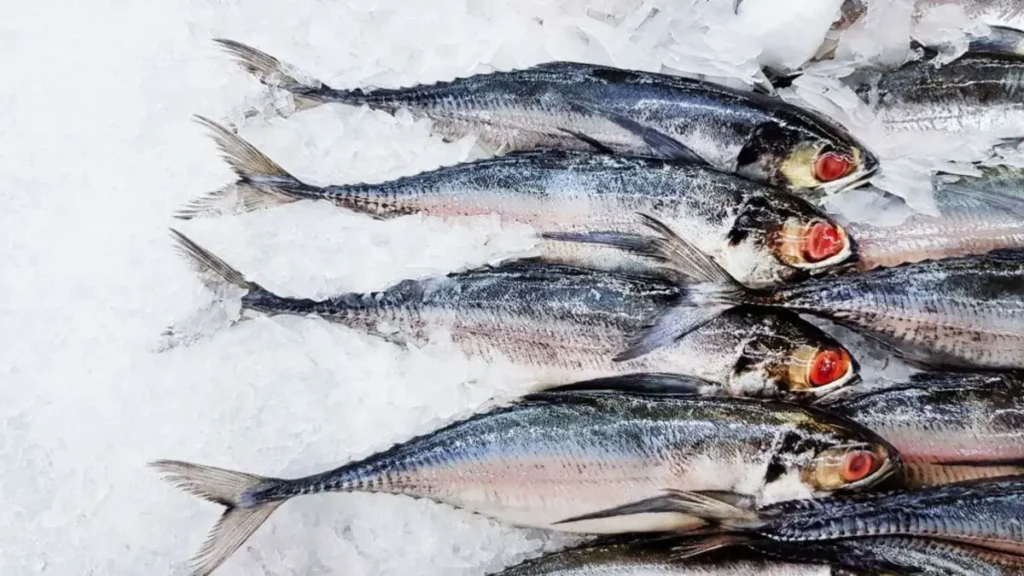 Comment savoir si un poisson congelé depuis 2 ans est encore bon