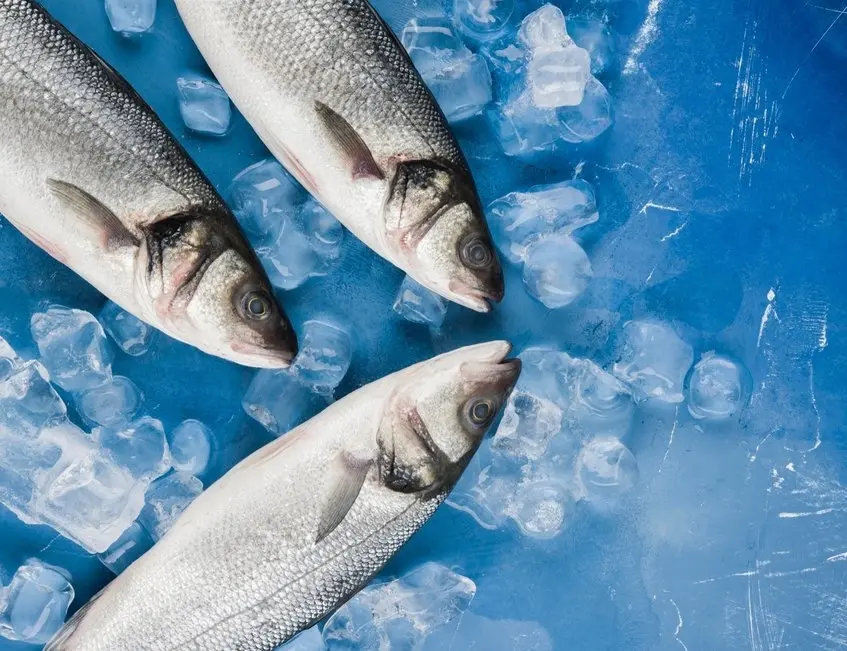 consommer un poisson congelé depuis 2 ans sans danger 1