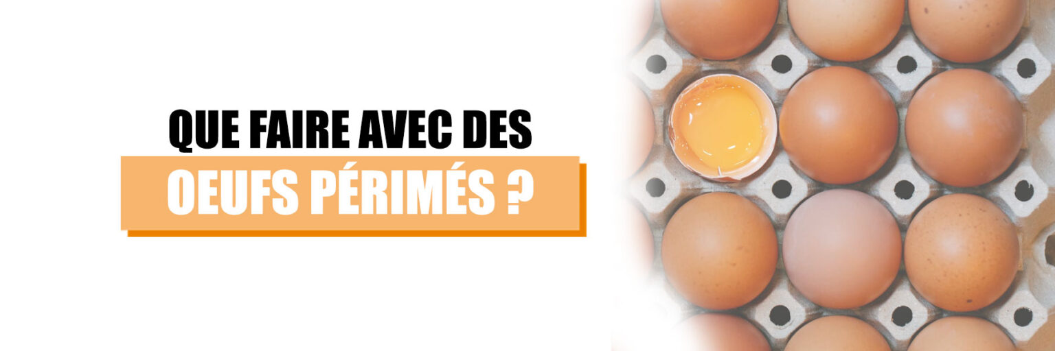 Que faire avec des œufs périmés ? 10 façons d'utiliser de les utiliser
