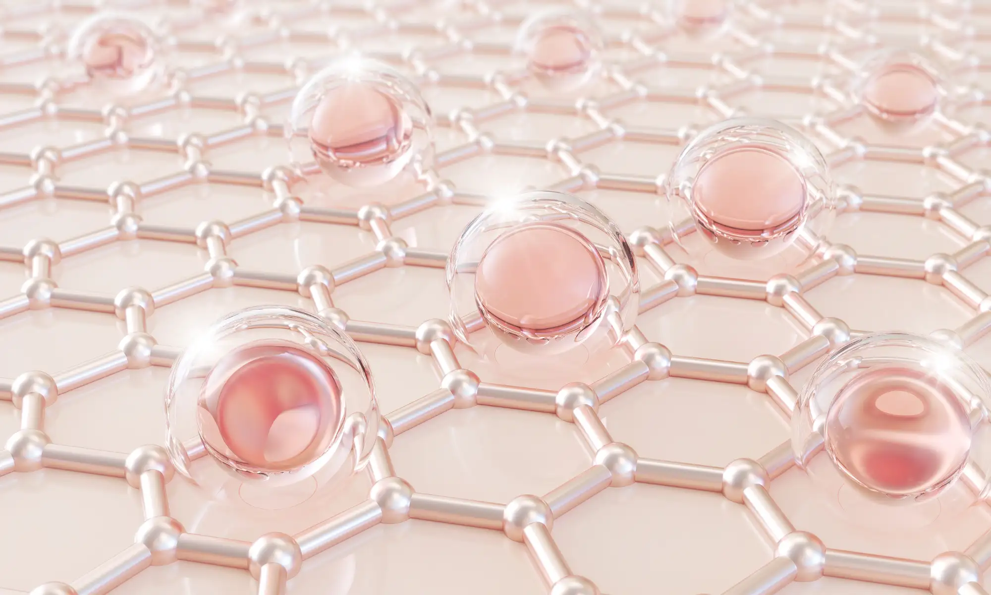 dose idéale de collagène dose idéale de collagène