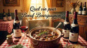 Vin pour Boeuf Bourguignon 1